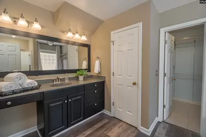 171 Elm Creek Drive, Chapin, SC 29036 - Photo 29