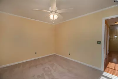 171 Elm Creek Drive, Chapin, SC 29036 - Photo 27