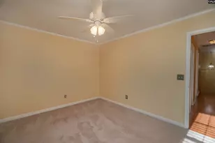 171 Elm Creek Dr, Chapin, SC 29036 - Photo 27