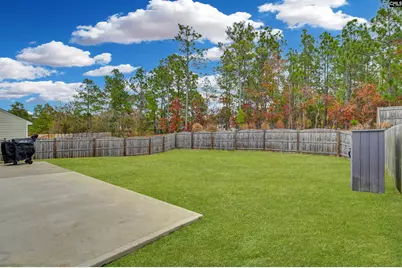 943 Sequoia Drive, Lexington, SC 29073 - Photo 19