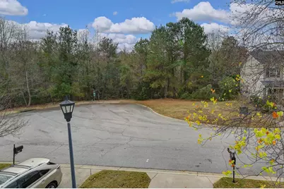 116 Chesterton Drive, Lexington, SC 29072 - Photo 51