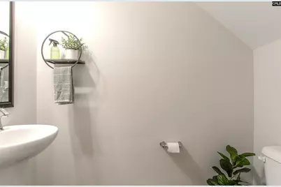 332 Wahoo Circle, Irmo, SC 29063 - Photo 21