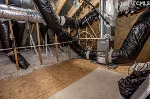 420 Crawley Ln, Chapin, SC 29036 - Photo 29