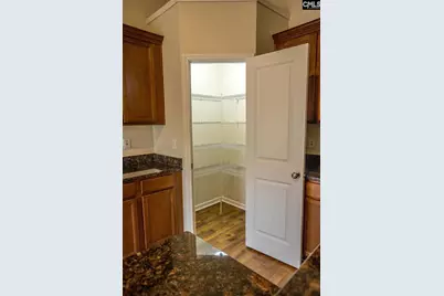 420 Crawley Lane, Chapin, SC 29036 - Photo 11