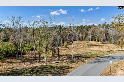 0 Woodside Shores Drive #Lot 9, Prosperity, SC 29127 - Photo 5