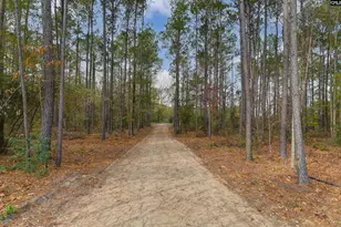 367 Kaigler Rd, North, SC 29112 - Photo 3