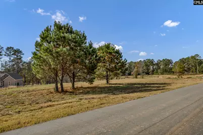 Adventure Bay #Lot 233, Prosperity, SC 29127 - Photo 3