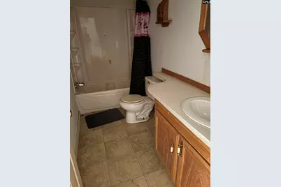 294 Russell Rowe Road, Leesville, SC 29070 - Photo 7