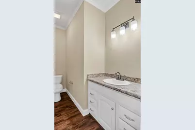 28 Tall Plametto Lane, Lexington, SC 29072 - Photo 15