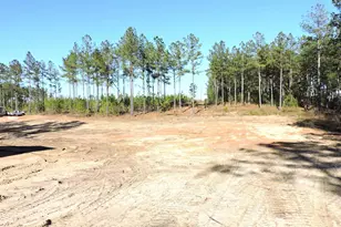 818 White Pond Rd, Williston, SC 29853 - Photo 5