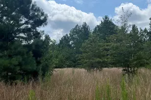 Bhl 8 Boise Cascade Road Bhl 8, Bethune, SC 29009 - Photo 13