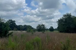 Bhl 8 Boise Cascade Road Bhl 8, Bethune, SC 29009 - Photo 15