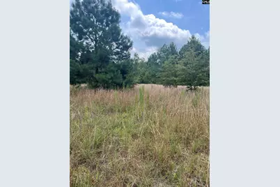 Bhl 8 Boise Cascade Road Bhl 8, Bethune, SC 29009 - Photo 1