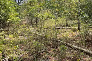 Bhl 8 Boise Cascade Road Bhl 8, Bethune, SC 29009 - Photo 9