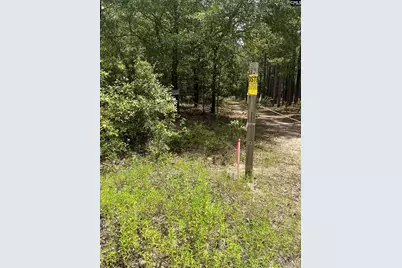 Bhl 8 Boise Cascade Road Bhl 8, Bethune, SC 29009 - Photo 11