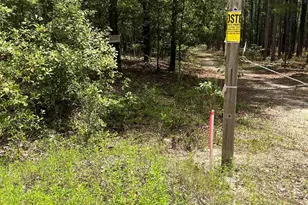 Bhl 8 Boise Cascade Road Bhl 8, Bethune, SC 29009 - Photo 11