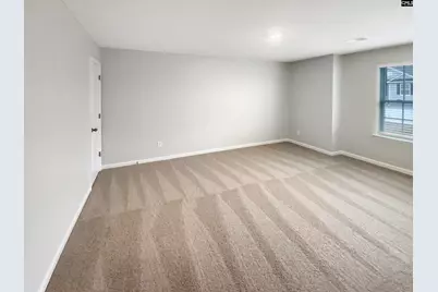 414 Pine Log Run, Chapin, SC 29036 - Photo 23