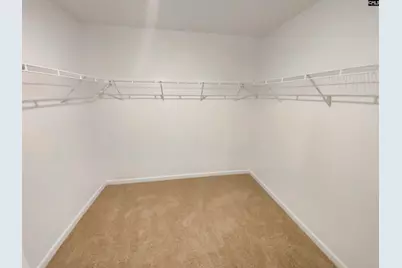 414 Pine Log Run, Chapin, SC 29036 - Photo 21