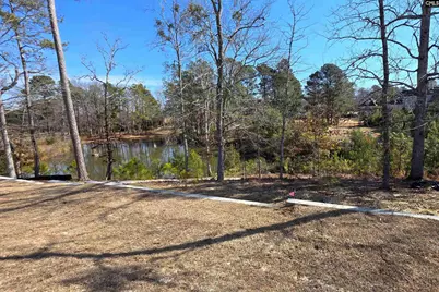 2203 Lofton Road, Blythewood, SC 29016 - Photo 43