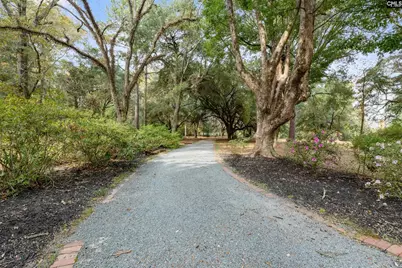 2100 Highway 341, Lynchburg, SC 29080 - Photo 43