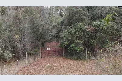 1917 Old Hopkins Road, Hopkins, SC 29061 - Photo 65