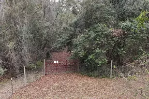 1917 Old Hopkins Rd, Hopkins, SC 29061 - Photo 65