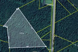 00 Beulah Rd, Cades, SC 29560 - Photo 1