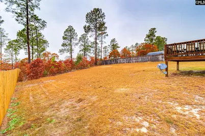 220 Cassique Drive, Lexington, SC 29073 - Photo 45
