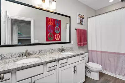 142 Almofini Lane, Chapin, SC 29036 - Photo 37