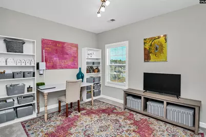 142 Almofini Lane, Chapin, SC 29036 - Photo 29