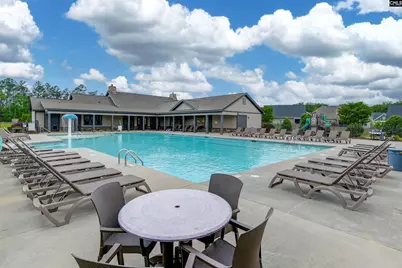 142 Almofini Lane, Chapin, SC 29036 - Photo 49