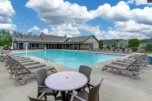 142 Almofini Ln, Chapin, SC 29036 - Photo 49