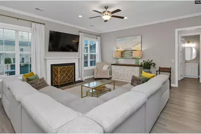 142 Almofini Lane, Chapin, SC 29036 - Photo 11