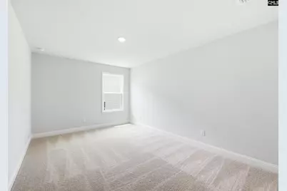 349 Mont Haven Place, Lexington, SC 29072 - Photo 49