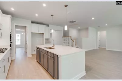 349 Mont Haven Place, Lexington, SC 29072 - Photo 9