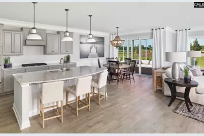 349 Mont Haven Place, Lexington, SC 29072 - Photo 3