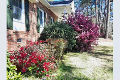 257 Brookspring Road, Columbia, SC 29223 - Photo 7