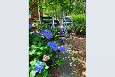 257 Brookspring Road, Columbia, SC 29223 - Photo 5