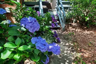 257 Brookspring Rd, Columbia, SC 29223 - Photo 5