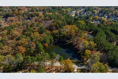 1908 Hollingshed Road, Irmo, SC 29063 - Photo 51