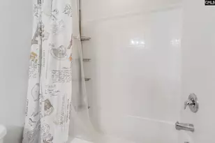 246 Honey Hill Way, Blythewood, SC 29016 - Photo 35