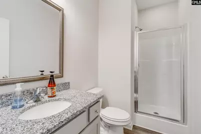 246 Honey Hill Way, Blythewood, SC 29016 - Photo 17