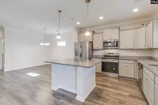 246 Honey Hill Way, Blythewood, SC 29016 - Photo 13