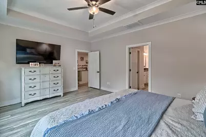 249 Daymark Drive, Chapin, SC 29036 - Photo 29