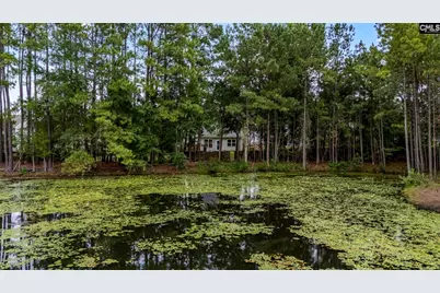 349 Gracemount Lane, Columbia, SC 29229 - Photo 51