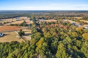 221 Ascot Dr, Camden, SC 29020 - Photo 65