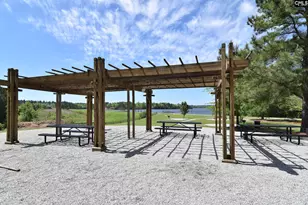 225 Castlebury Dr, Columbia, SC 29229 - Photo 51