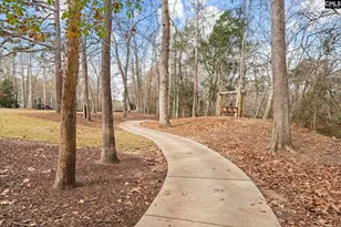 1128 Britton Creek Ct, Lexington, SC 29072 - Photo 47