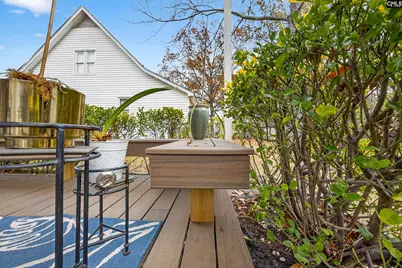 138 Mansfield Circle, Lexington, SC 29073 - Photo 27