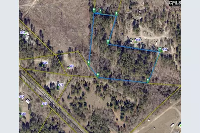 667 Hwy 178, Pelion, SC 29123 - Photo 1